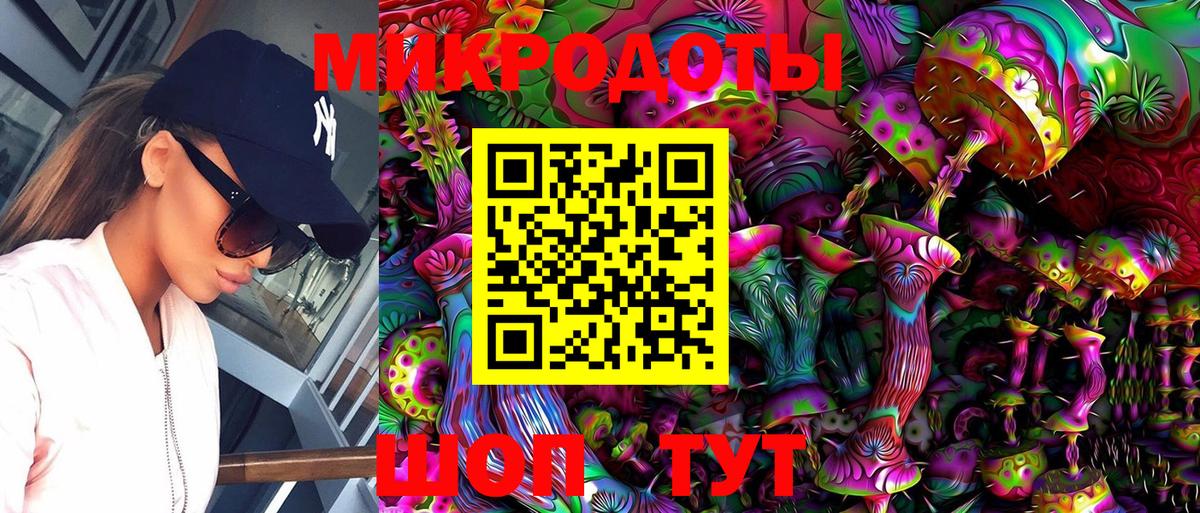 Димитровград  Псилоцибиновые грибы Cubensis  Вход с VPN  Псилоцибиновые грибы мухоморы 