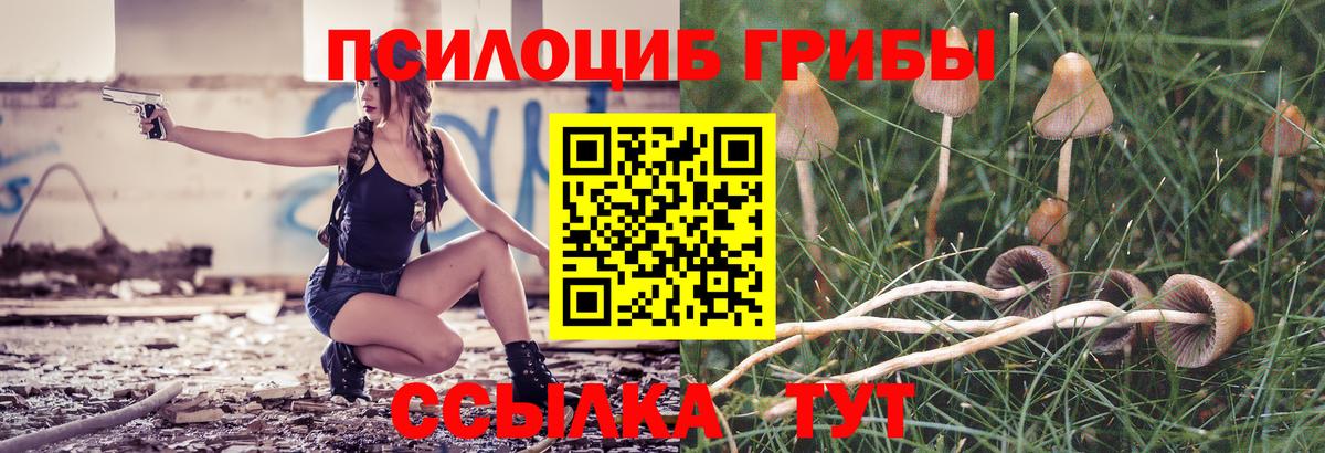 Галлюциногенные грибы ЛСД Димитровград